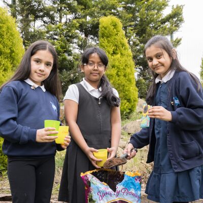 Relationship and Health Education